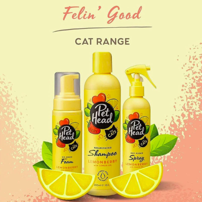 Pet Head Felin’ Good No-Rinse Cat Foam