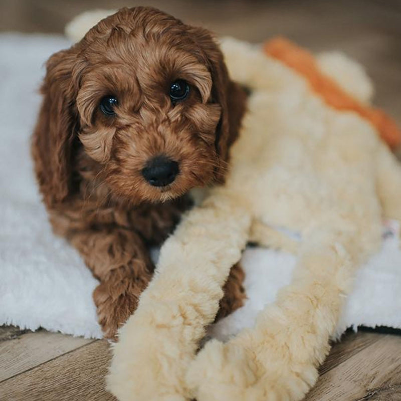 Rosewood My Dog Lion Plush Dog Toy