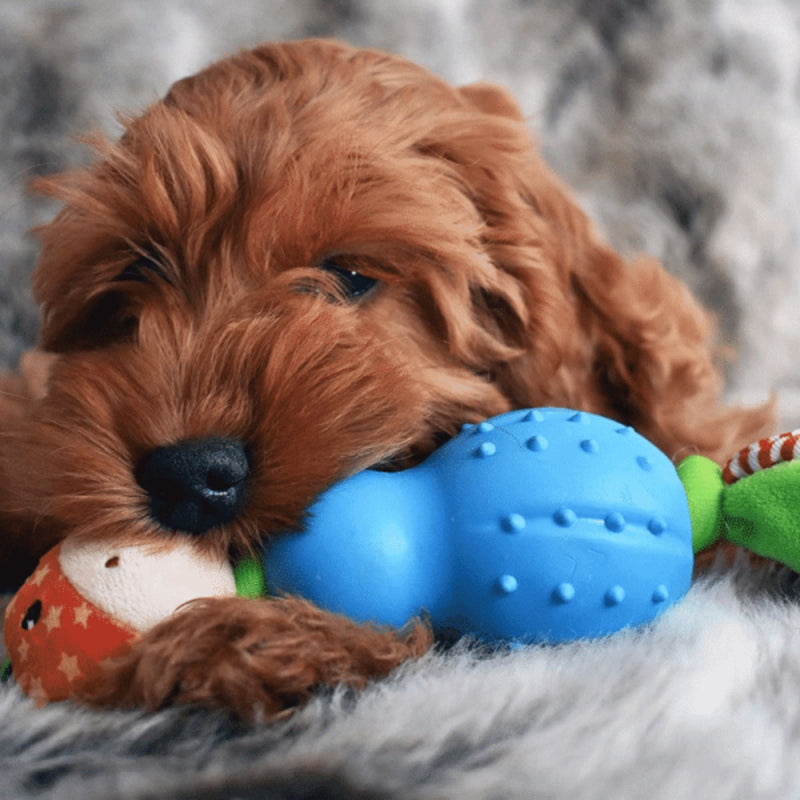 Rosewood Little Nippers Jolly Giraffe Puppy Toy