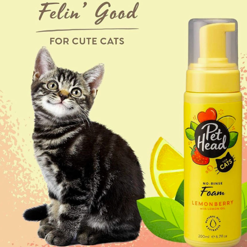 Pet Head Felin’ Good No-Rinse Cat Foam