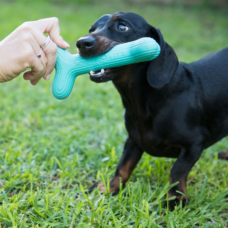 Dog’s Life FetchStix – Natural Rubber Chew & Fetch Dog Toy