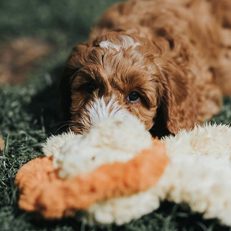 Rosewood My Dog Lion Plush Dog Toy