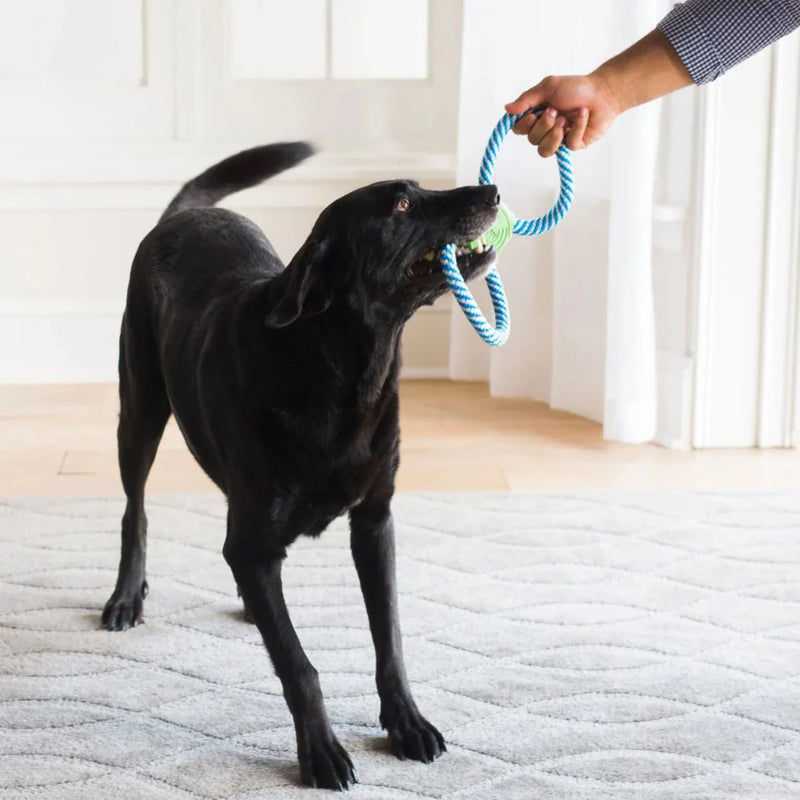 JW Pet Giggle Tug Dog Toy