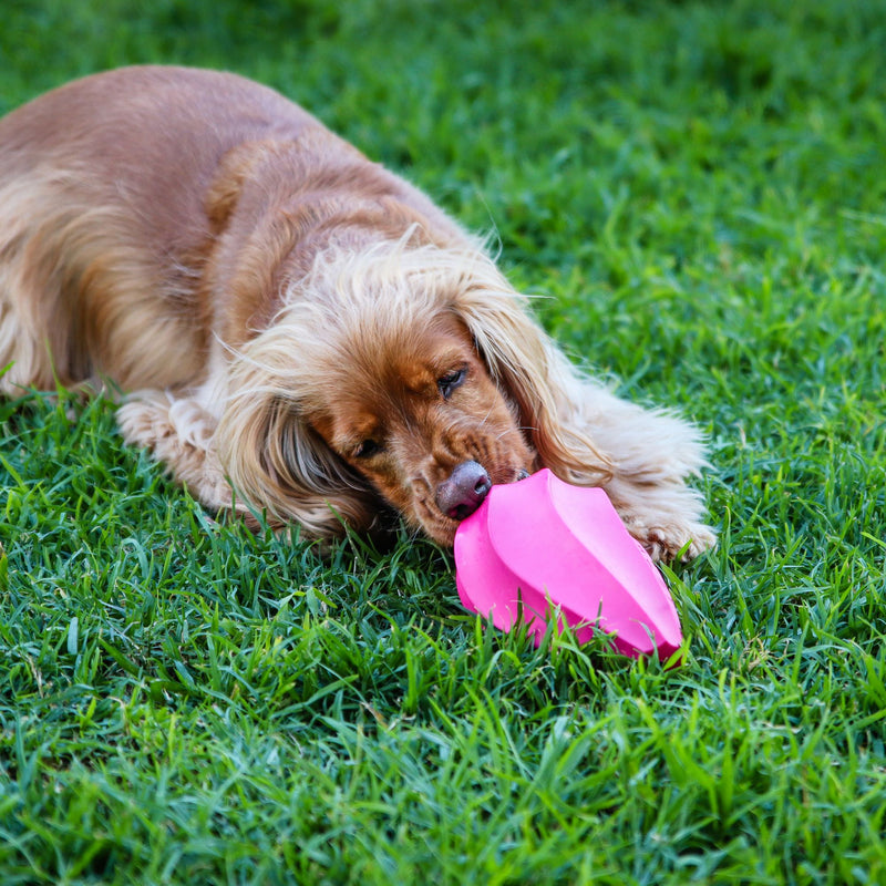 Dog’s Life Stuffable Treat Hider