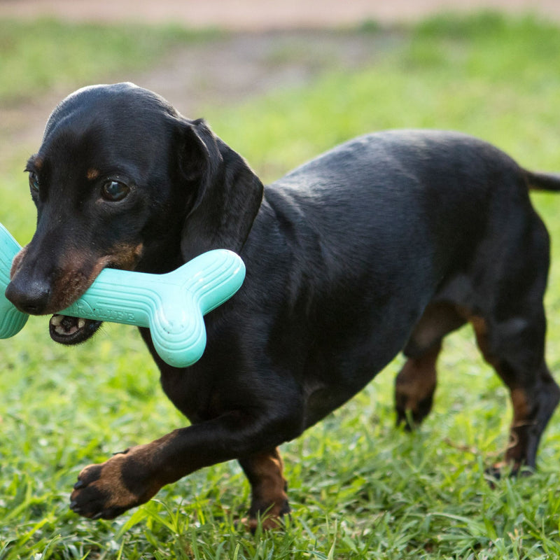 Dog’s Life FetchStix – Natural Rubber Chew & Fetch Dog Toy