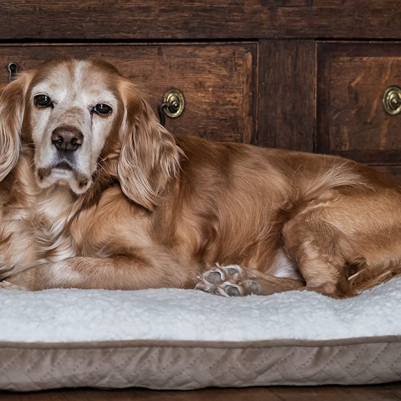 Mikki Sherpa Calming Cushion Pillow Bed