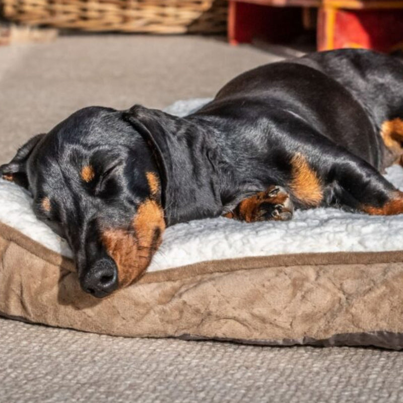 Mikki Sherpa Calming Cushion Pillow Bed