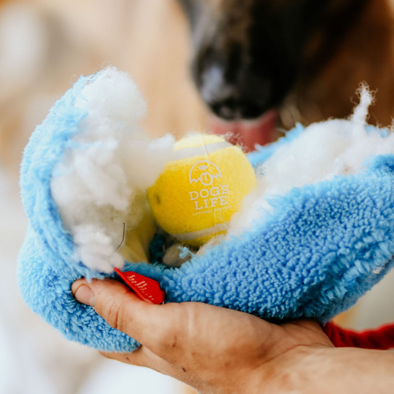 Dog's Life Surprise Toy - The Blue School Bag