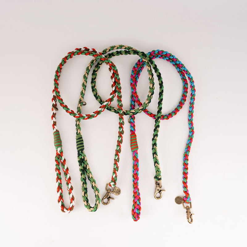 Lead with Love Dogmas Classic Dog Lead