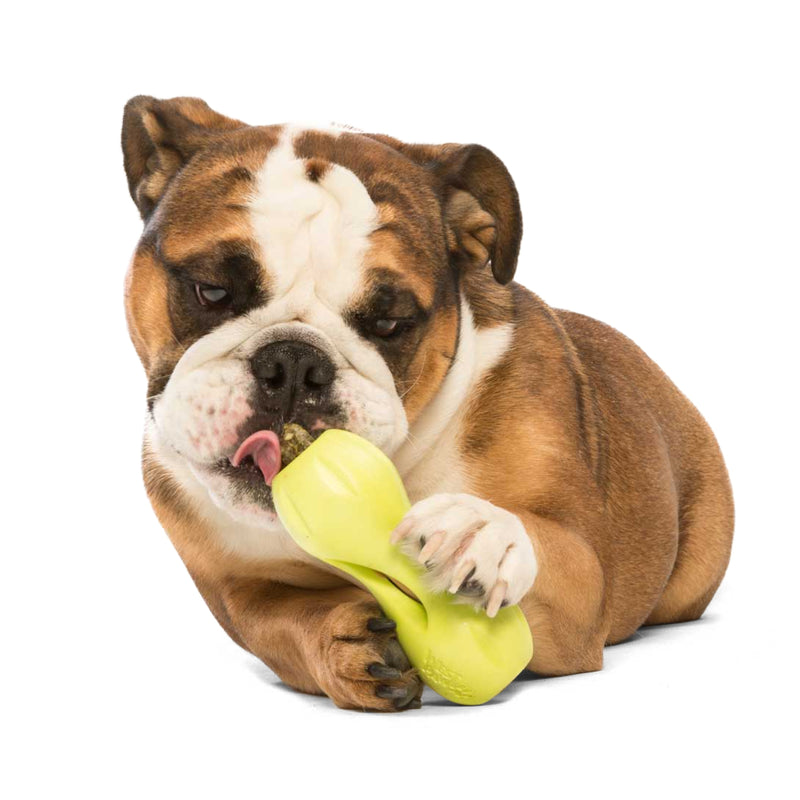 West Paw Zogoflex Qwizl® Treat-Holding Chew Toy