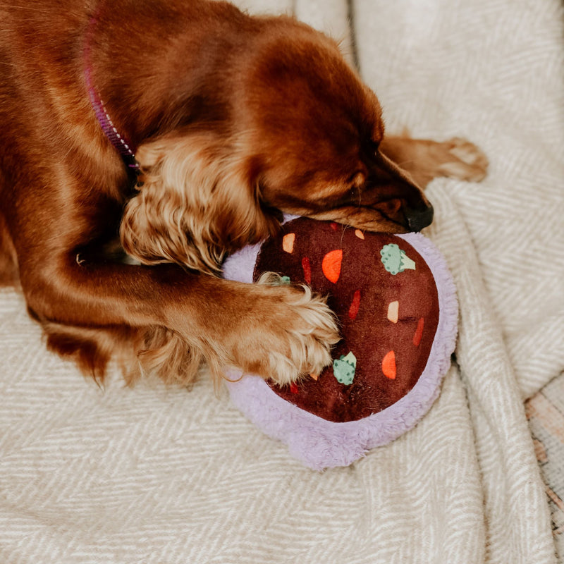 Dog’s Life Surprise Toy - The Purple Smiling Pot