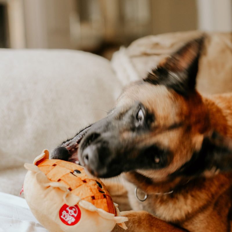 Dog’s Life Surprise Toy – Pumpkin Pie Plush Dog Toy
