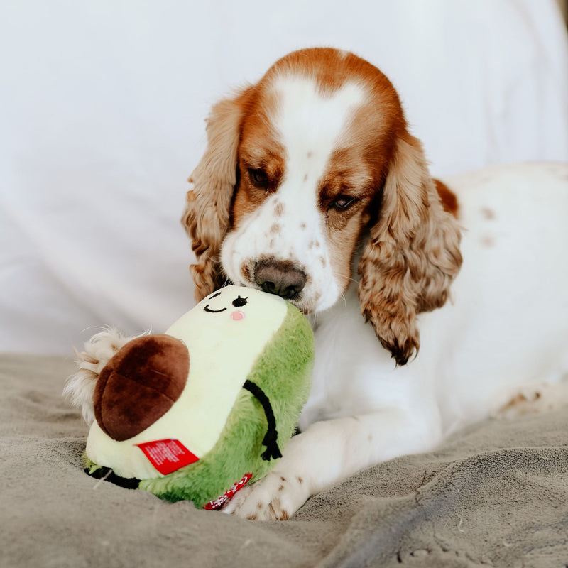 Dog’s Life Surprise Toy – Pregnant Avocado Plush Dog Toy