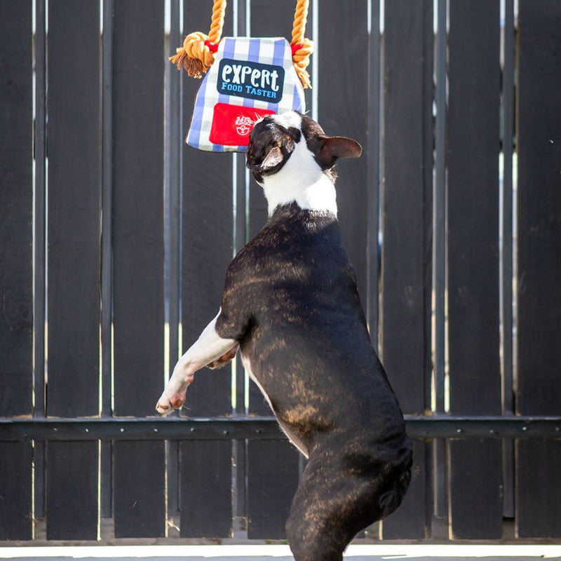 Dog’s Life Surprise Toy – Apron Expert Food Taster Plush Dog Toy