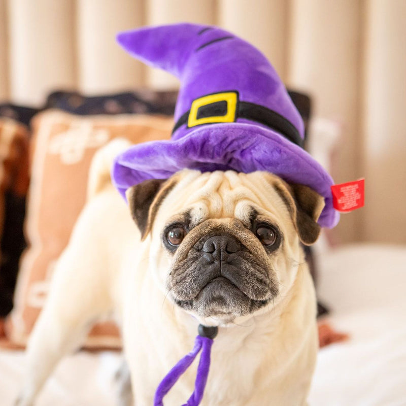 Dog’s Life Witch Hat Plush Toy