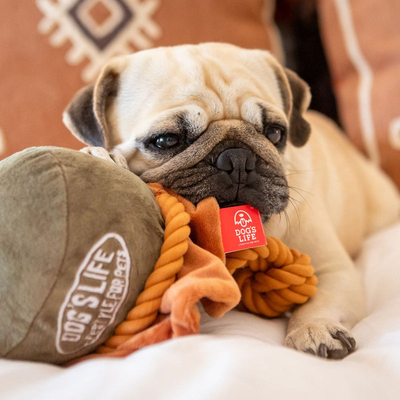 Dog’s Life Bush Hat Plush Toy