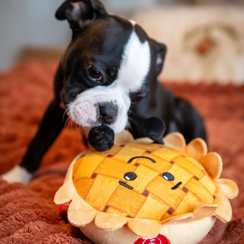 Dog’s Life Surprise Toy – Pumpkin Pie Plush Dog Toy