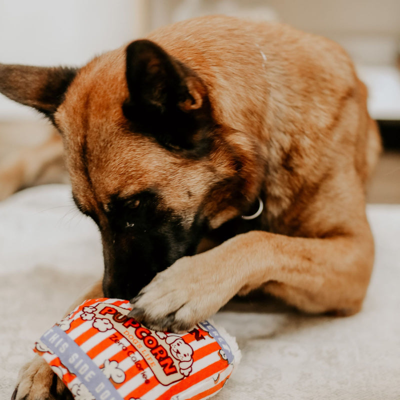 Dog’s Life Surprise Toy – The Pupcorn Plush Dog Toy