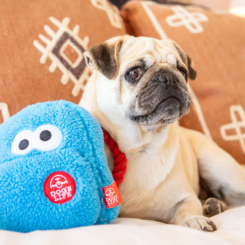 Dog's Life Surprise Toy - The Blue School Bag