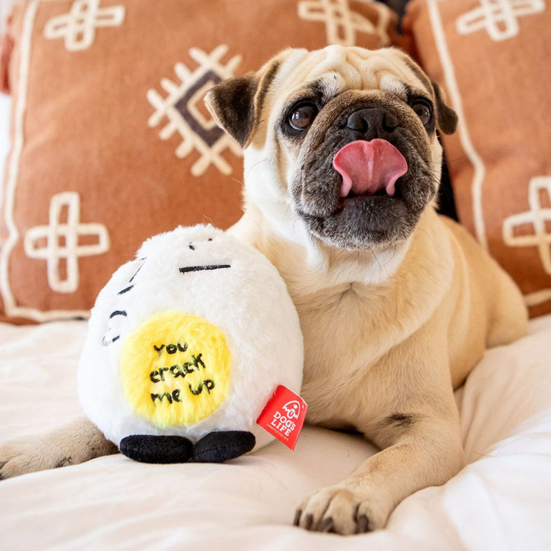 Dog’s Life Surprise Toy – Crack Me Up Egg Plush Dog Toy