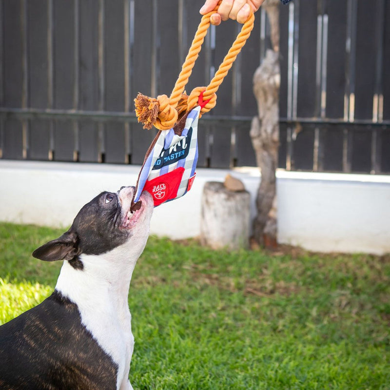 Dog’s Life Surprise Toy – Apron Expert Food Taster Plush Dog Toy