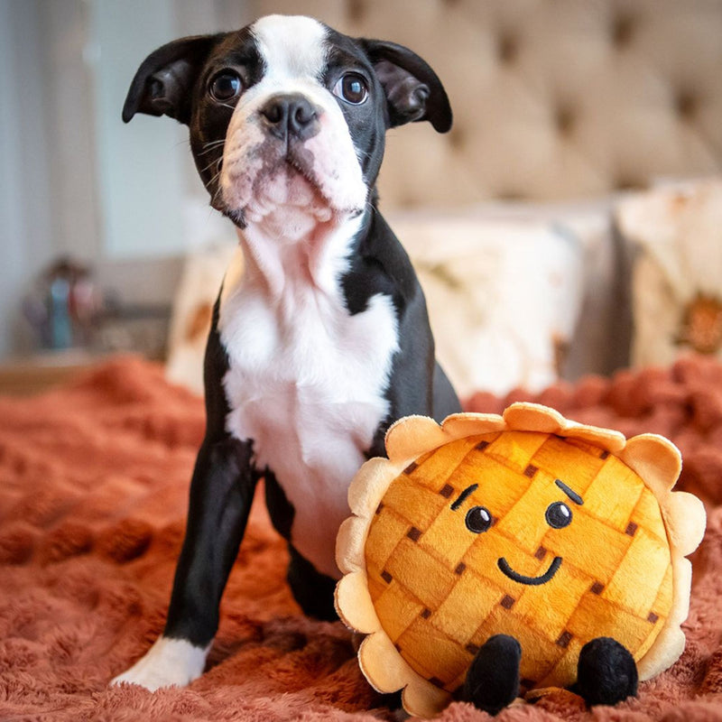Dog’s Life Surprise Toy – Pumpkin Pie Plush Dog Toy