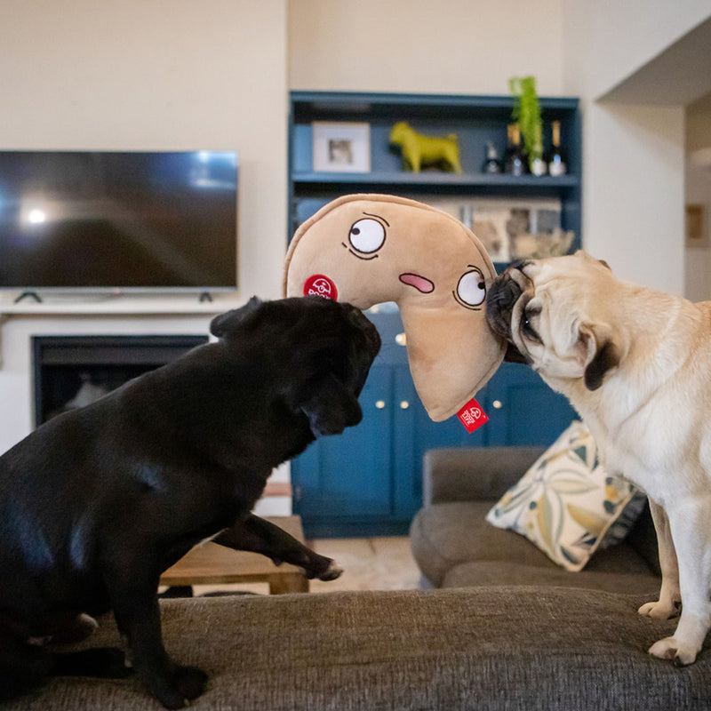 Dog's Life Surprise Toy - The Fortune Cookie