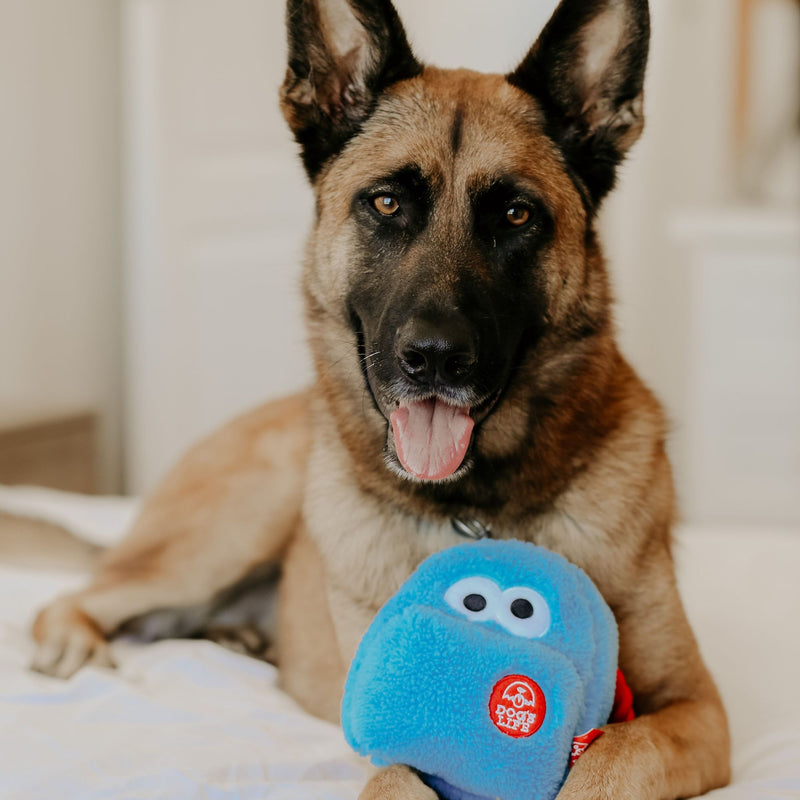 Dog's Life Surprise Toy - The Blue School Bag