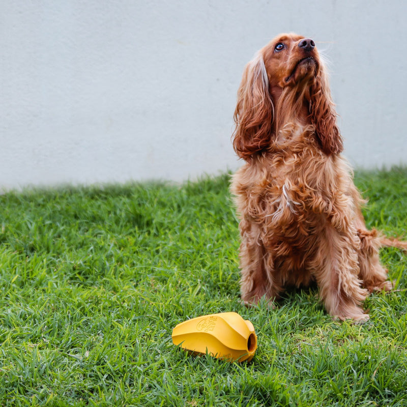 Dog’s Life Stuffable Treat Hider