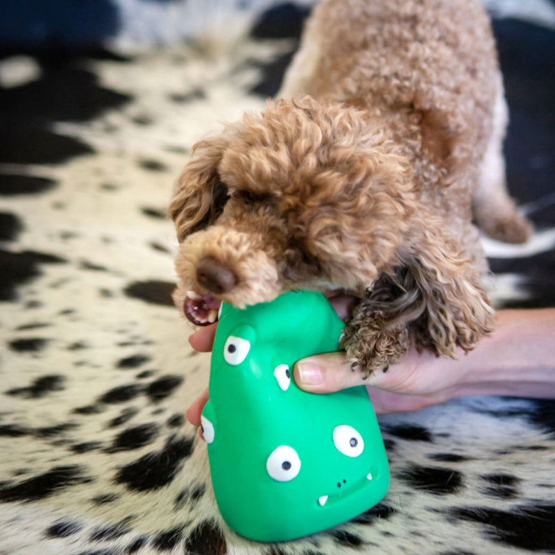 Takamisu Diseased Louise – Latex Rubber Dog Toy