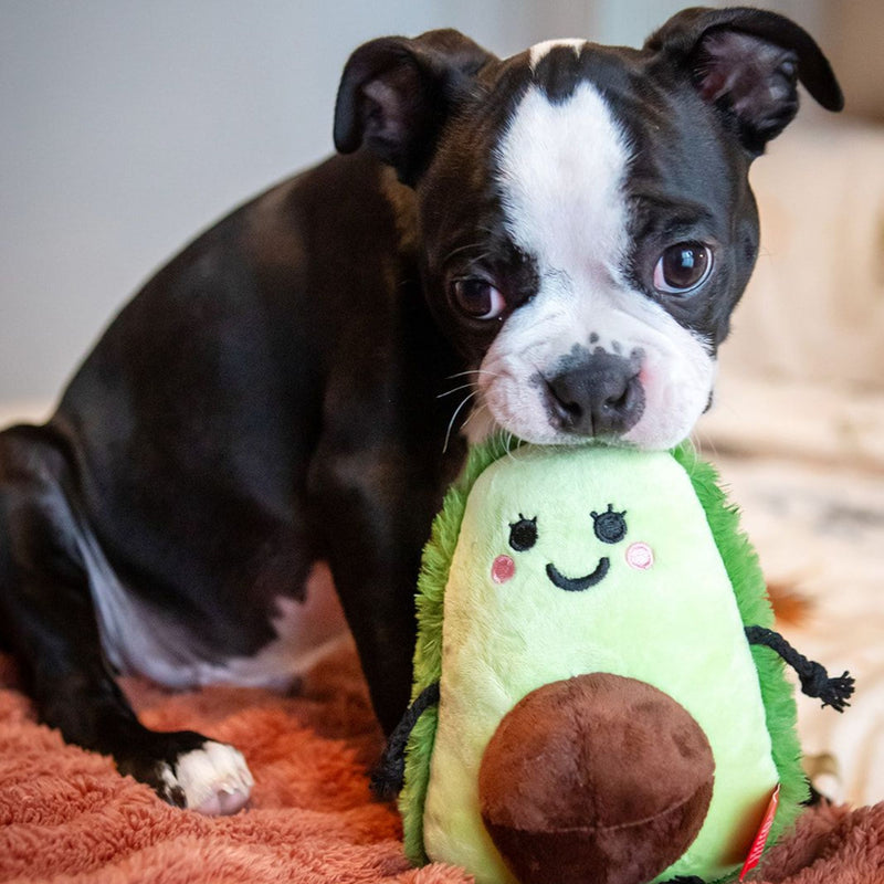 Dog’s Life Surprise Toy – Pregnant Avocado Plush Dog Toy