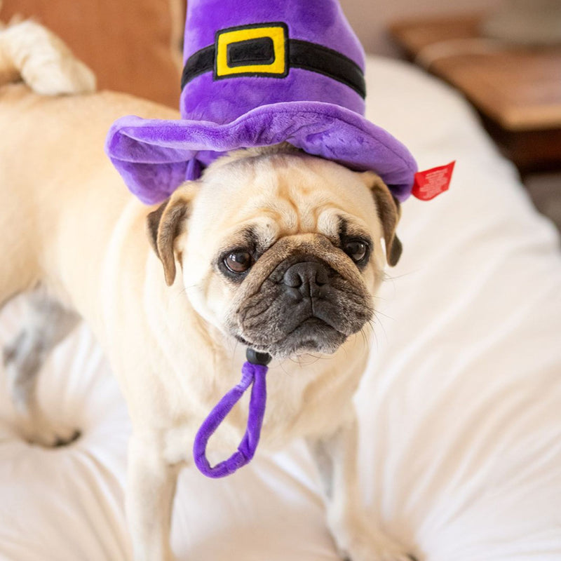Dog’s Life Witch Hat Plush Toy