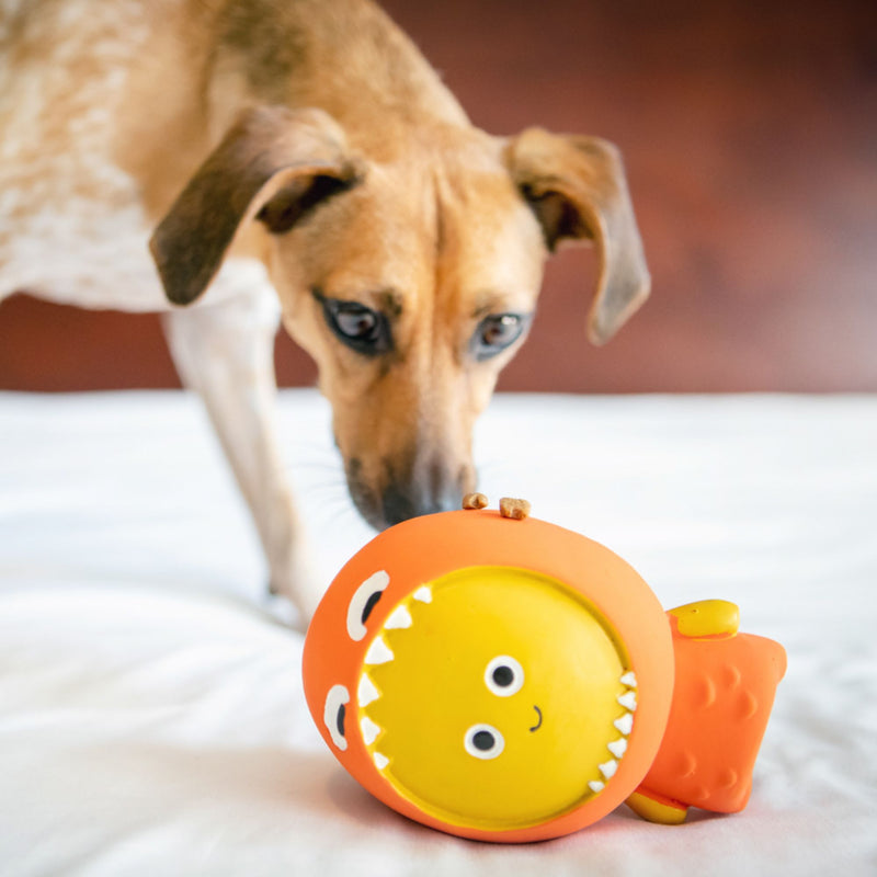 Takamisu Covid Cory – Latex Rubber Dog Toy