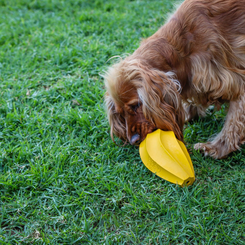 Dog’s Life Stuffable Treat Hider