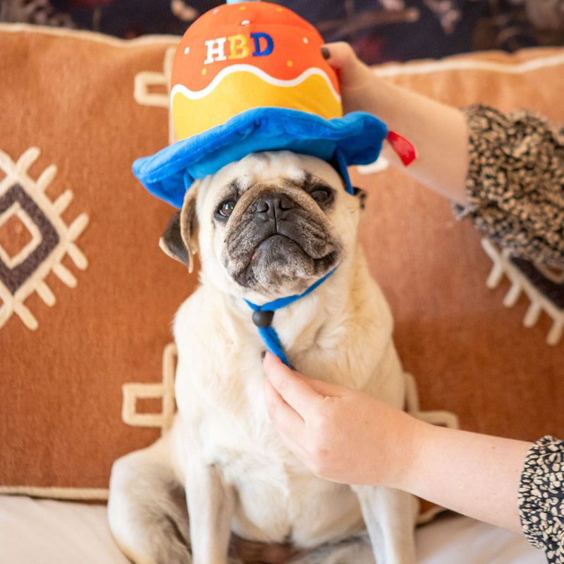 Dog’s Life Happy Birthday Hat Plush Toy