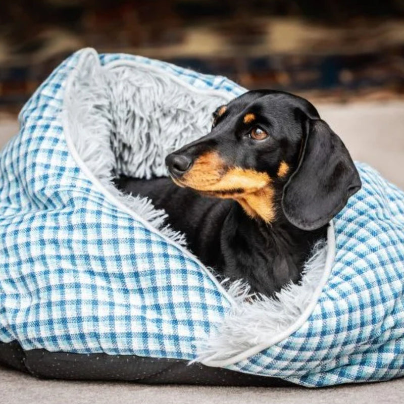 Mikki Domed Calm House