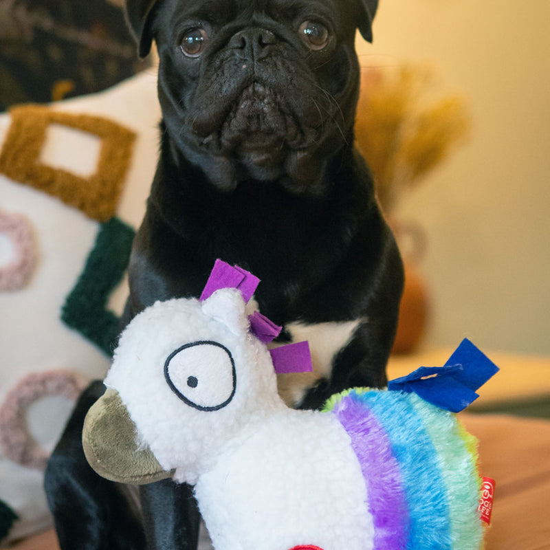Dog’s Life Surprise Toy - The Rainbow Horse