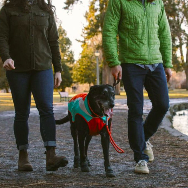 Ruffwear Just-a-Cinch Leash – Slip Lead & Leash Combo