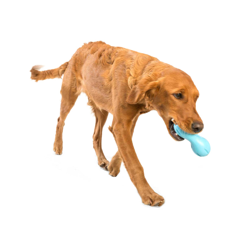 West Paw Zogoflex Qwizl® Treat-Holding Chew Toy