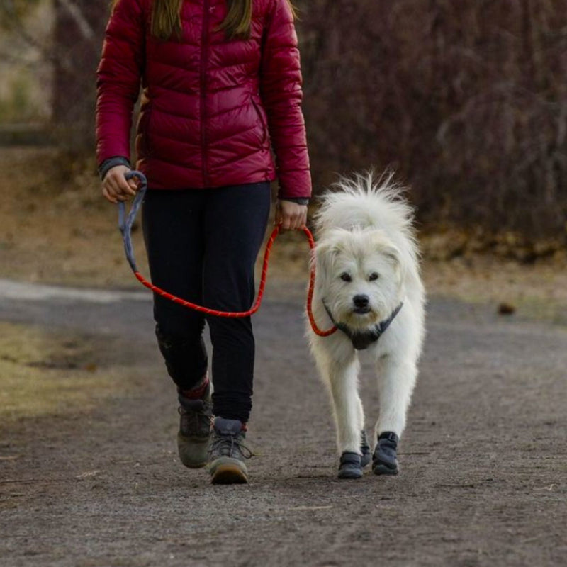 Ruffwear Just-a-Cinch Leash – Slip Lead & Leash Combo