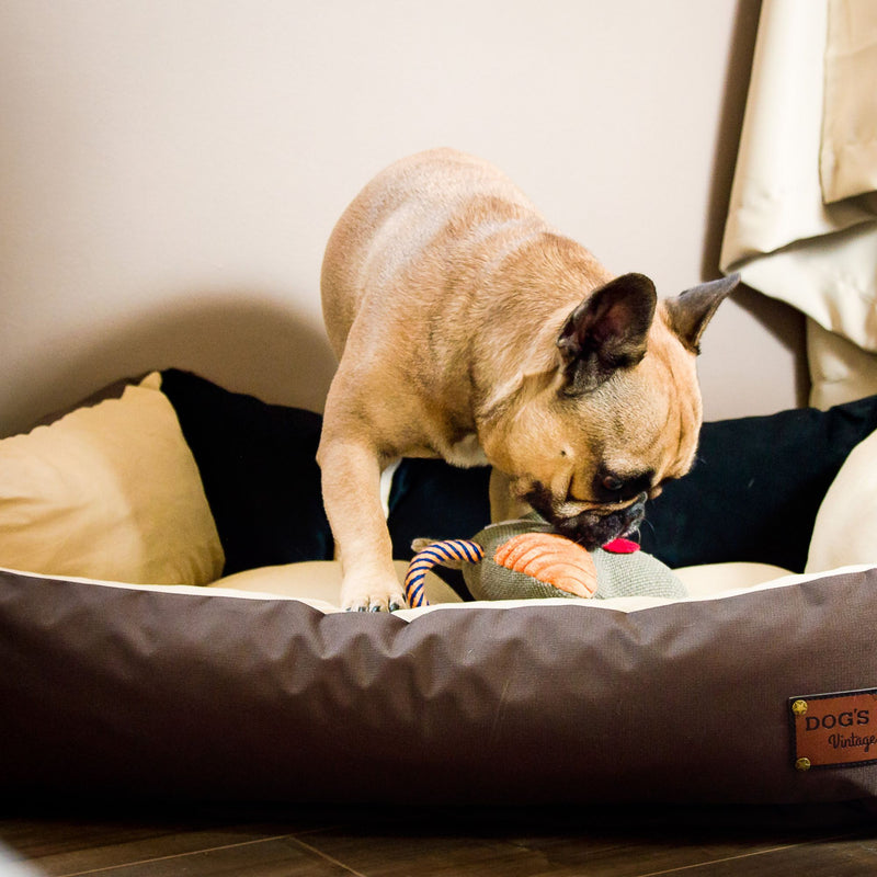 Dog's Life Summer Vintage Lounger Bed