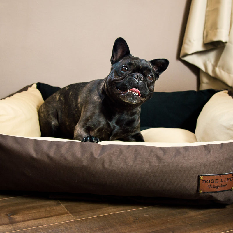 Dog's Life Summer Vintage Lounger Bed