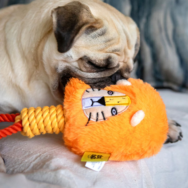 Dog Days Lion with Rope Legs Dog Toy with Squeaker