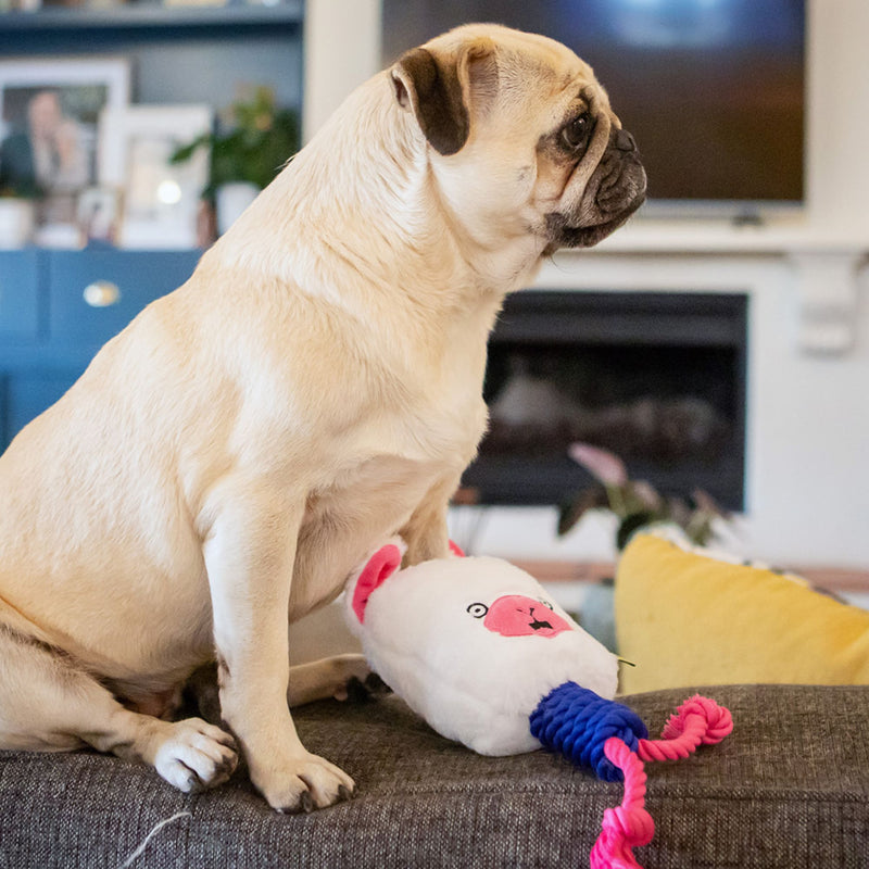 Dog Days Llama with Rope Legs Dog Toy with Squeaker