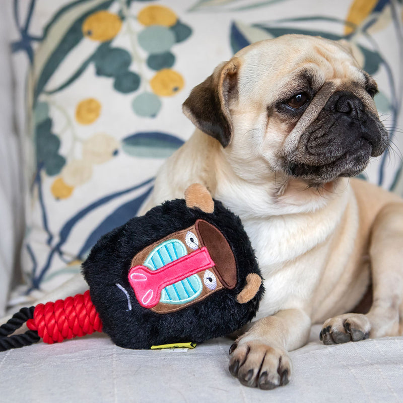 Dog Days Baboon with Rope Legs Dog Toy with Squeaker