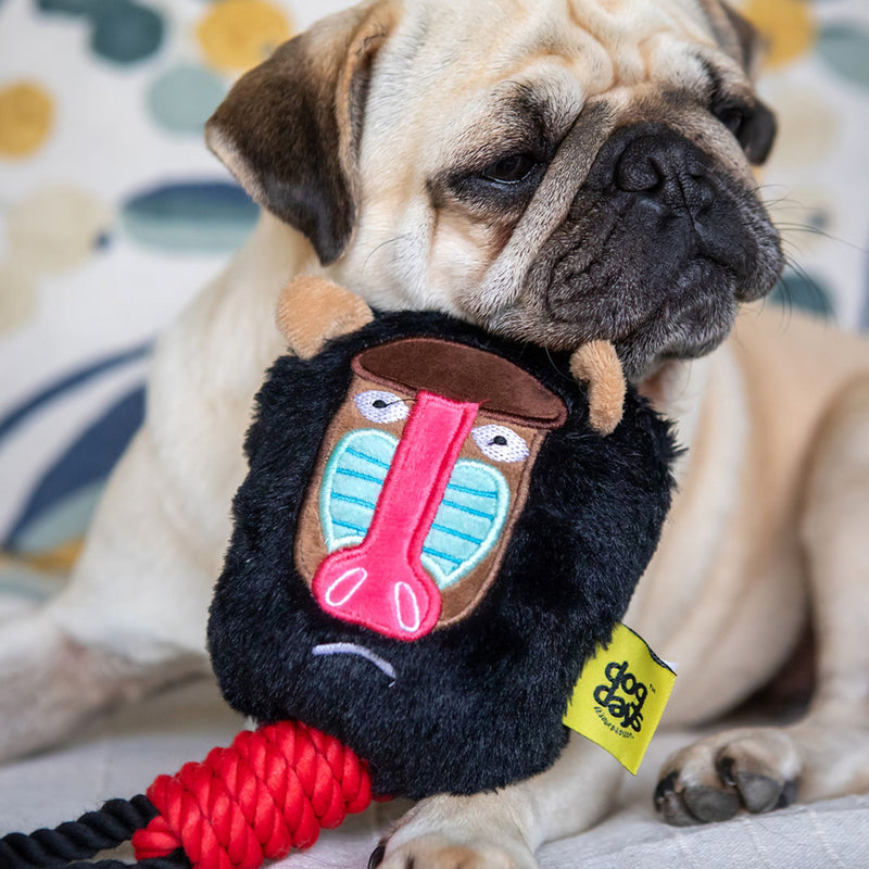 Dog Days Baboon with Rope Legs Dog Toy with Squeaker