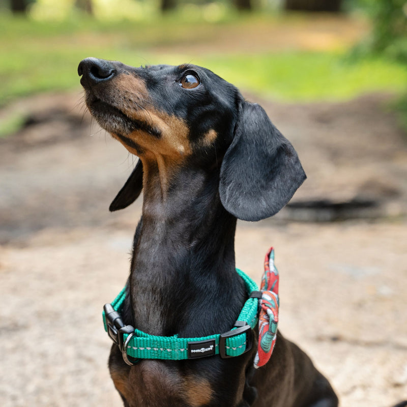 Dog's Life Supersoft Designer Webbing Comfortable & Reflective Dog Collar