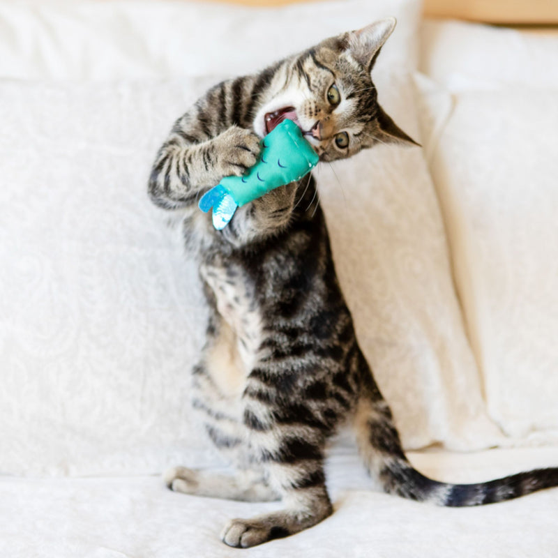 Cat’s Life Kittie Fishies Plush Catnip Toy Combo