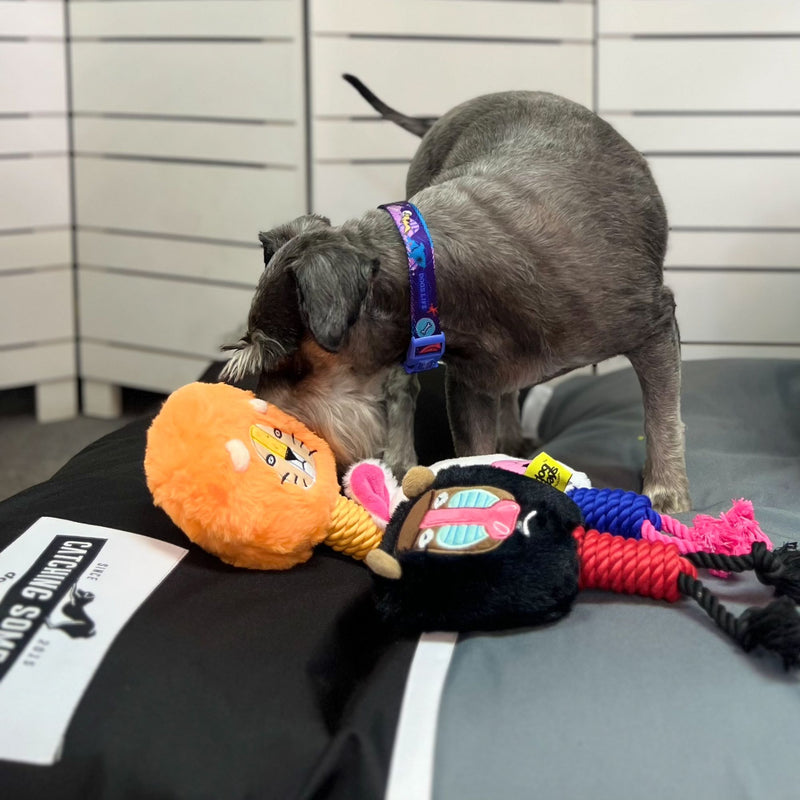 Dog Days Baboon with Rope Legs Dog Toy with Squeaker