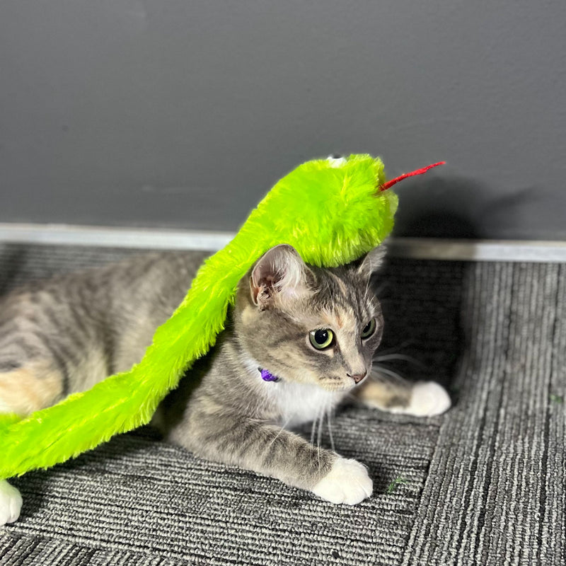 Cat’s Life Naughty Snake Interactive Feather & Plush Cat Wand Toy